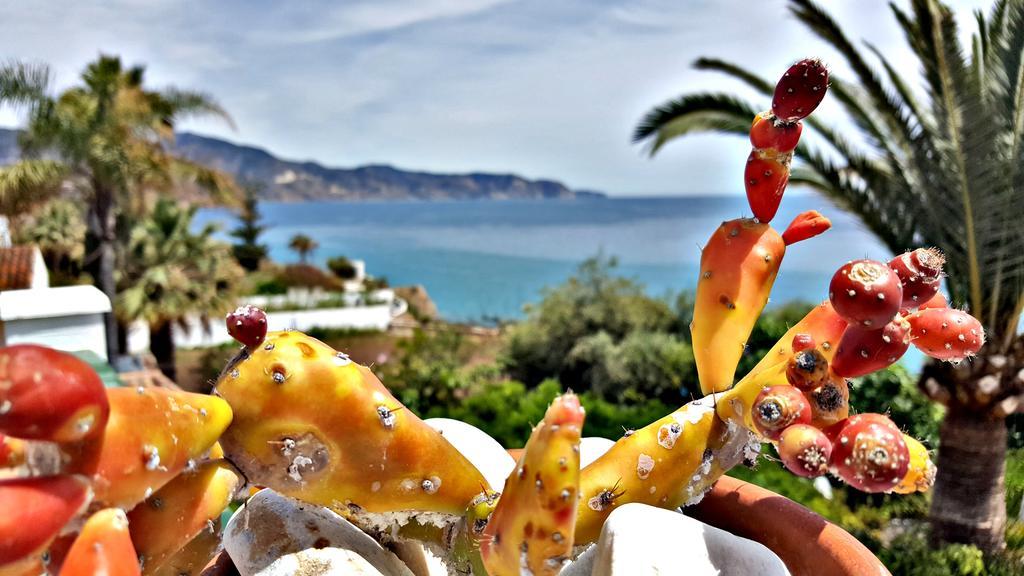 Villa Carabeo Nerja Dış mekan fotoğraf